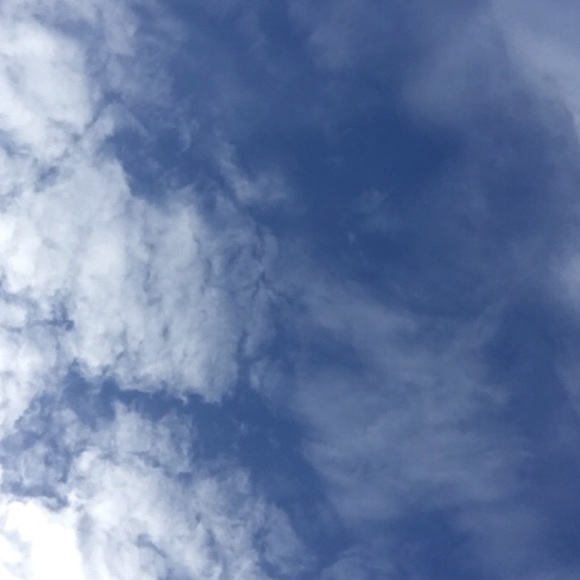 Meet your Posher, Olivia - Picture 1 of 1